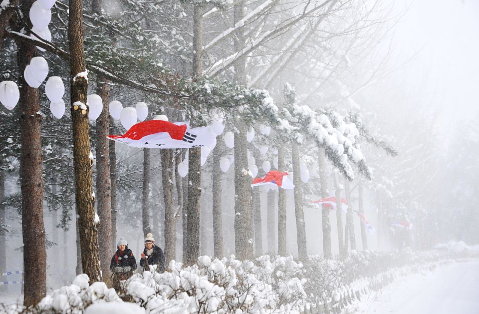 Seoul: Elysian Gangchon Winter Ski with Nami Island Day Tour - Should you book this Seoul winter day tour?