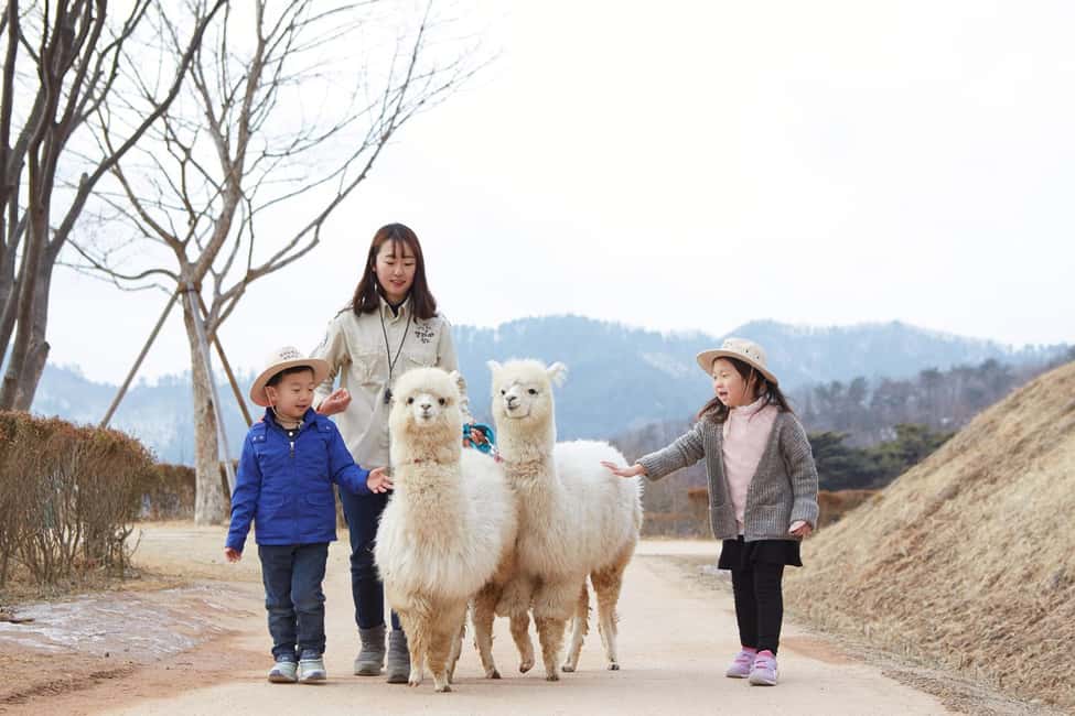 Seoul: Eobi Ice Valley, Alpaca World, Nami Island and More - Key things I’d pay attention to