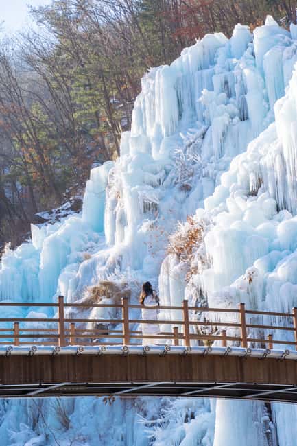 Seoul: Eobi Ice Valley, Alpaca World, Nami Island and More - Nami Island with Winter Sonata context: the scenic walk part