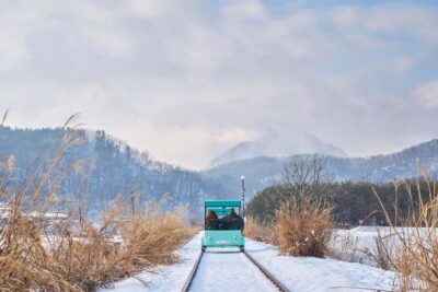 Seoul: Eobi Ice Valley, Alpaca World, Nami Island and More - Alpaca World: warm, calm, and delightfully distracting