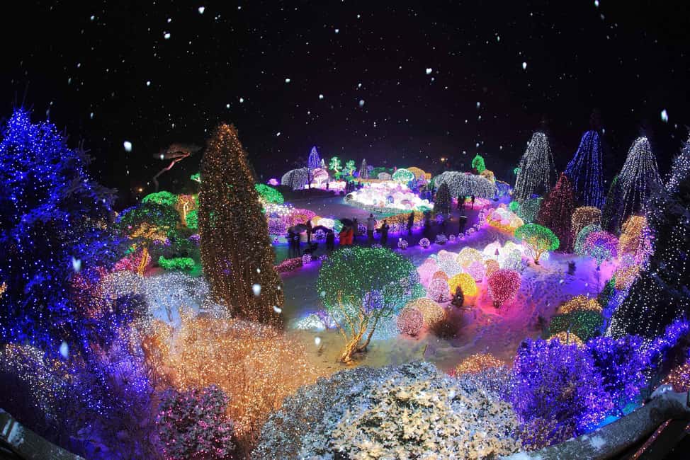 Seoul: Eobi Ice Valley, Alpaca World, Nami Island and More - Picking your guide vibe: English and Chinese support, and real help on the road