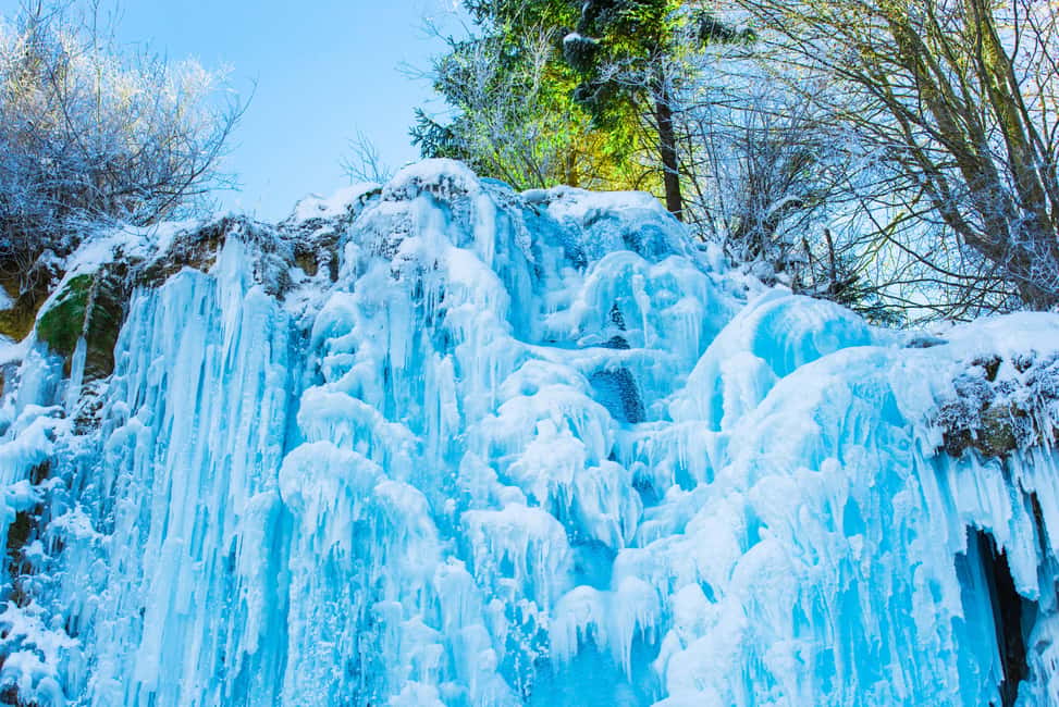 Seoul: Eobi Ice Valley, Alpaca World, Nami Island and More - What’s included in the $83 value (and what you need to budget)