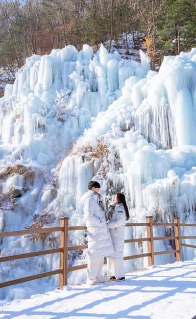 Seoul: Eobi Ice Valley, Alpaca World, Nami Island and More - Who this day trip fits best