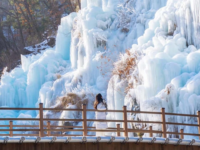 Seoul: Eobi Valley(Winter), Strawberry, Nami Island and Bike - What the Timing Actually Feels Like (Stop by Stop)