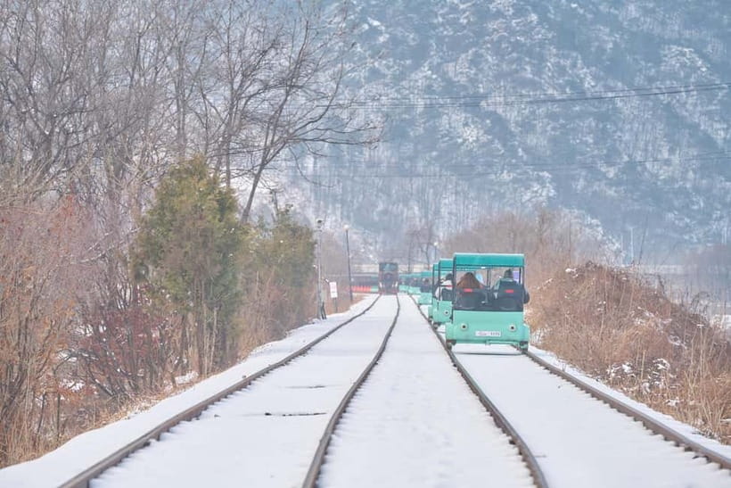 Seoul: Eobi Valley(Winter), Strawberry, Nami Island and Bike - Who Should Book This Tour (and Who Might Skip It)