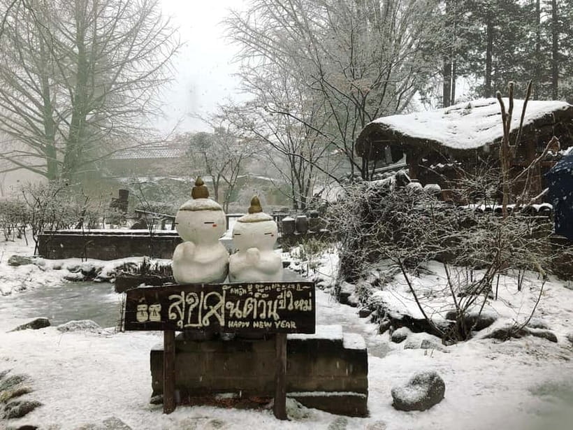 Seoul: Eobi+Nami+Hanbok(+RailBike or Strawberry Options)Tour - Price and value: what $51 buys you on a cold winter day