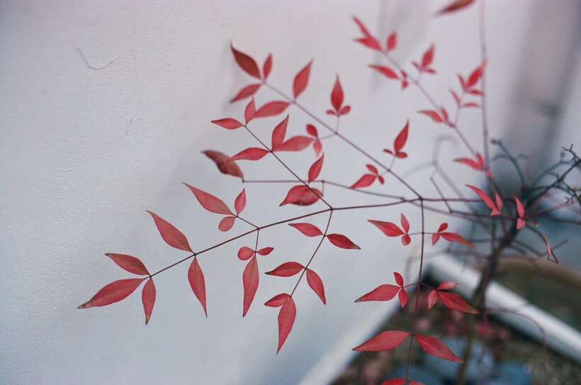 Seoul Film Camera Club - Small-group pace: the hidden benefit of only four people