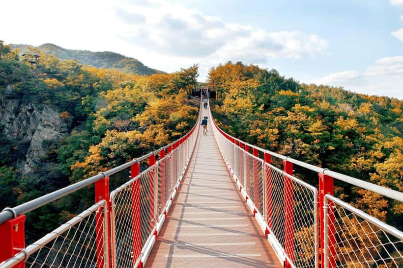Seoul Full-Day City Tour: Hanok Village, Scenic Routes - Key highlights worth planning around