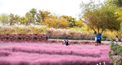 Seoul Full-Day City Tour: Hanok Village, Scenic Routes - Mt. Gamaksan suspension bridge: 45 meters above the ground