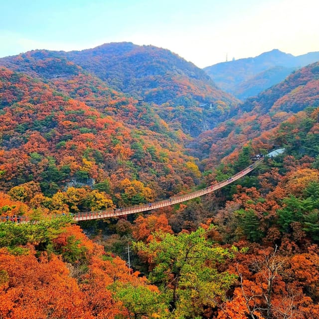 Seoul Full-Day City Tour: Hanok Village, Scenic Routes - Guide quality and group feel: where Sky and Sabrina shine