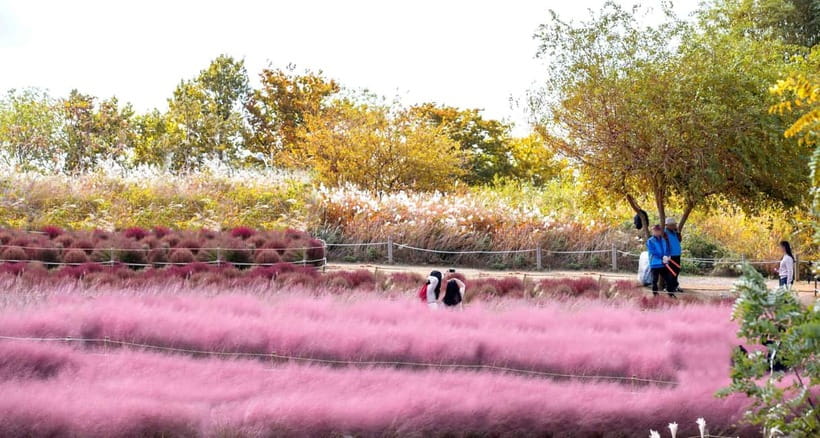 Seoul Full-Day City Tour: Hanok Village, Scenic Routes - Mt. Gamaksan suspension bridge: 45 meters above the ground