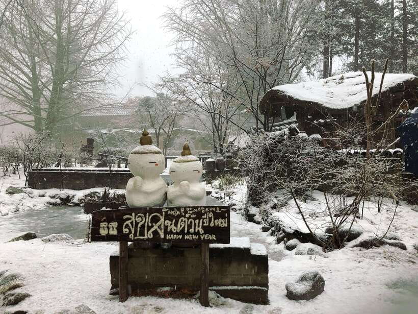 Seoul: Full-Day Winter Trip Ski Resort, Ice Valley, Namiseom - Why this winter trip from Seoul feels worth the time