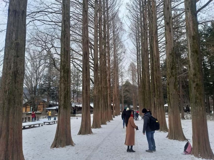 Seoul: Full-Day Winter Trip Ski Resort, Ice Valley, Namiseom - Should you book this Seoul winter trip?
