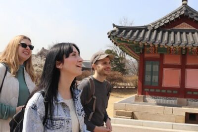 Seoul Half Day Tour with a Local: 100% Personalized & Private - Insadong: culture streets, tea stops, and snack breaks