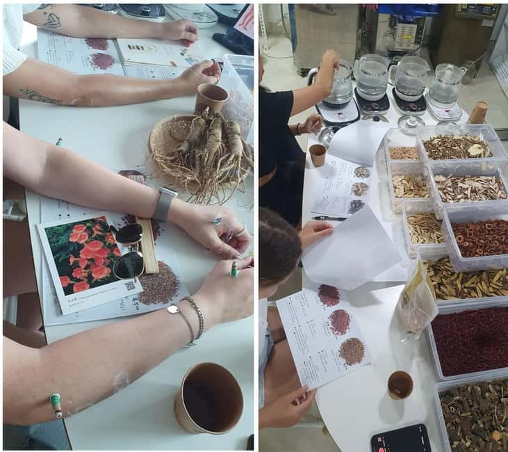 Seoul: Herbal Tea Class & Korean Medicine Tour - TKM Museum Stop: What It Adds and What to Watch