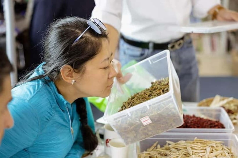 Seoul: Herbal Tea Class & Korean Medicine Tour - Logistics That Matter: Timing, Meeting Point, and Group Flow
