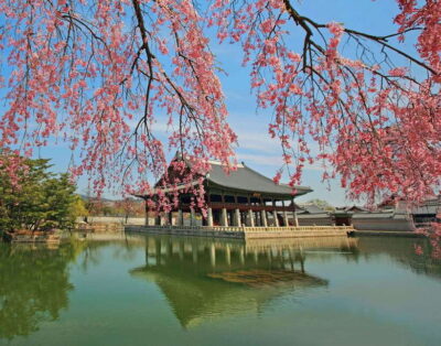 Seoul Highlights: Gyeongbok Palace, Insadong & N Seoul Tower - Jogyesa Temple + Changing of the Guard: the day’s best “start here” energy