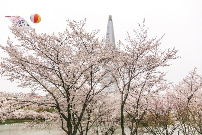 Seoul Highlights & Hidden Gems – Private Tour with Photo Service - A private photo tour beats the usual Seoul photo chaos