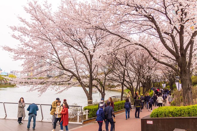 Seoul Highlights & Hidden Gems – Private Tour with Photo Service - Gyeongbokgung Palace: the must-see palace stop and where great photos happen