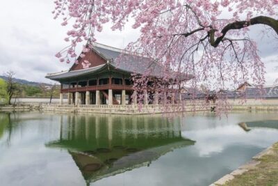 Seoul Highlights & Hidden Gems – Private Tour with Photo Service - Getting around Seoul with pickup and a private driver-guide