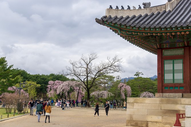 Seoul Highlights & Hidden Gems – Private Tour with Photo Service - Gwangjang Market: food culture and the chance to take Korean flavors with you