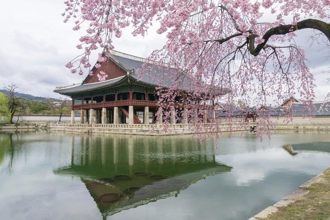 Seoul Highlights & Hidden Gems – Private Tour with Photo Service - Getting around Seoul with pickup and a private driver-guide