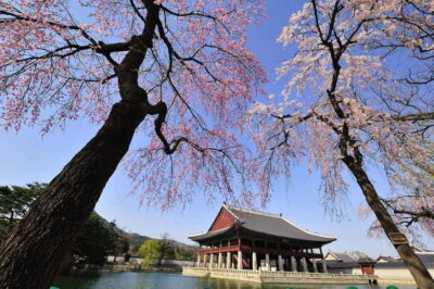 Seoul: Highlights of Seoul Full-Day Tour - Bugak Palgakjeong: the Seoul viewpoint that feels like a breather