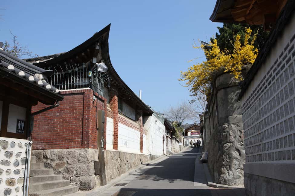 Seoul: Highlights of Seoul Half-Day Tour - Who This Seoul Half-Day Tour Fits Best