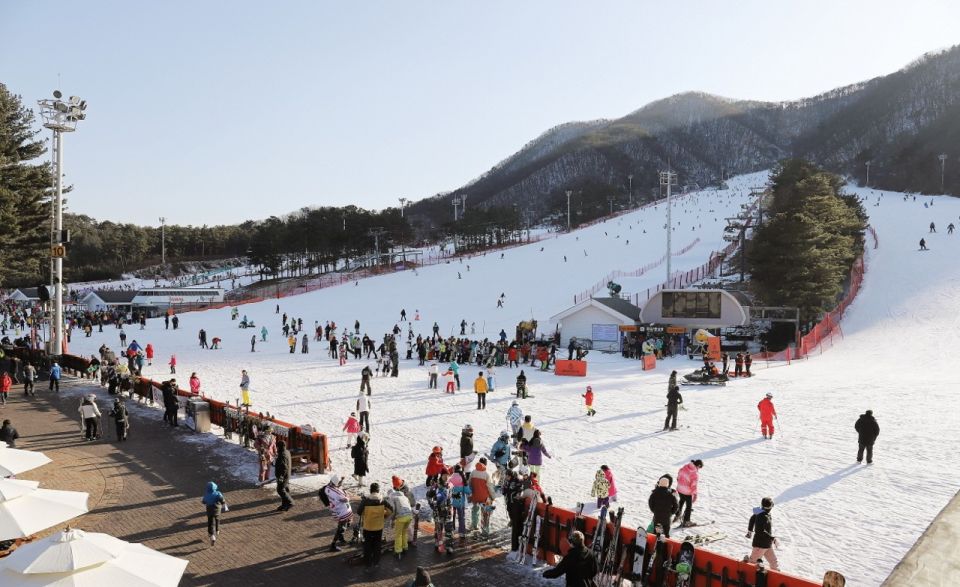 Seoul: Jisan Forest Winter Ski Day Tour with Basic Lesson - The 1-Hour Basic Lesson: What You Actually Learn