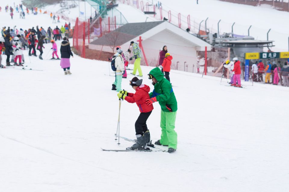 Seoul: Jisan Forest Winter Ski Day Tour with Basic Lesson - Who Should Book This Winter Ski Day Tour