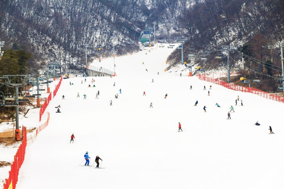 Seoul: Jisan Forest Winter Ski Day Tour with Basic Lesson - Arrival at 9:40 AM: Gear Rental and the Moment You’ll Appreciate the Setup