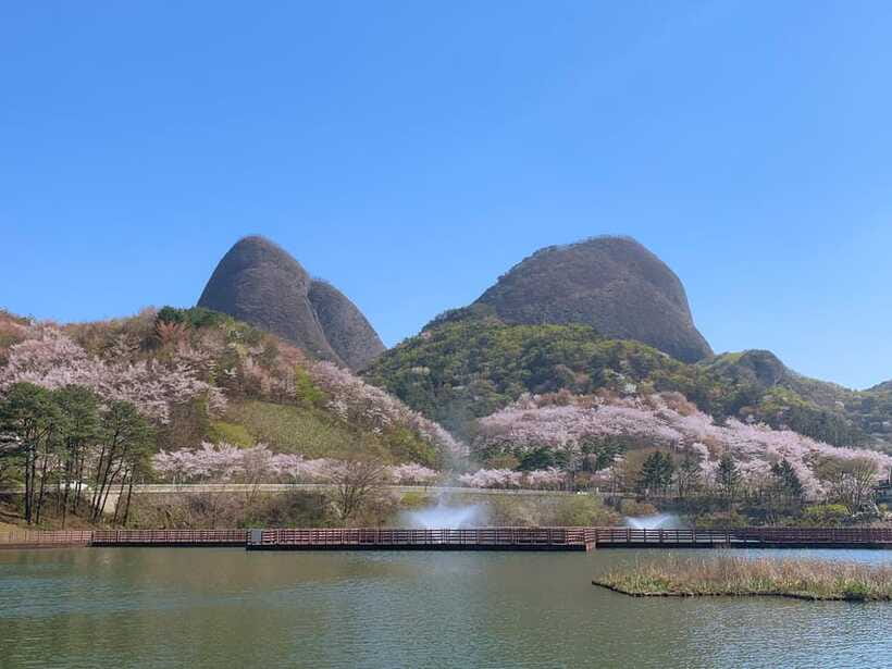 Seoul: Maisan Cherry Blossom and Jeonju Hanok Day Tour - Should You Book This Seoul Maisan and Jeonju Tour?