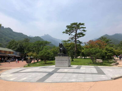 Seoul: Mt.Seorak(+CableCar Option)+Sokcho Fish Market&Beach - Seoul pickup and the long ride to Seoraksan