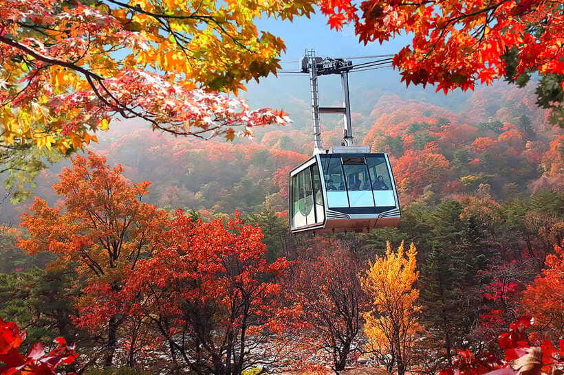 Seoul: Mt.Seorak(+CableCar Option)+Sokcho Fish Market&Beach - Cable car option: when to choose it