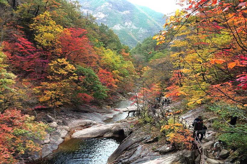 Seoul: Mt.Seorak(+CableCar Option)+Sokcho Fish Market&Beach - How the hike can feel in real conditions