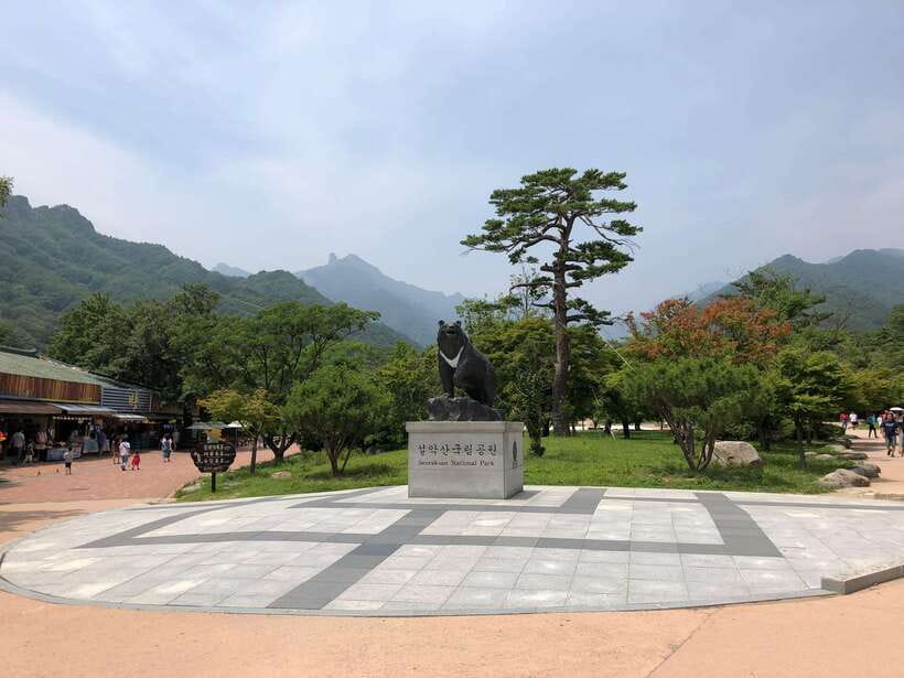 Seoul: Mt.Seorak(+CableCar Option)+Sokcho Fish Market&Beach - Seoul pickup and the long ride to Seoraksan