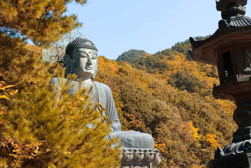 Seoul: Mt. Seoraksan National Park Autumn Foliage Day Tour - Key Highlights You’ll Feel on Day One