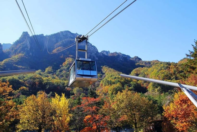 Seoul: Mt. Seoraksan National Park Autumn Foliage Day Tour - Price and Value: Is $60 a Good Deal?