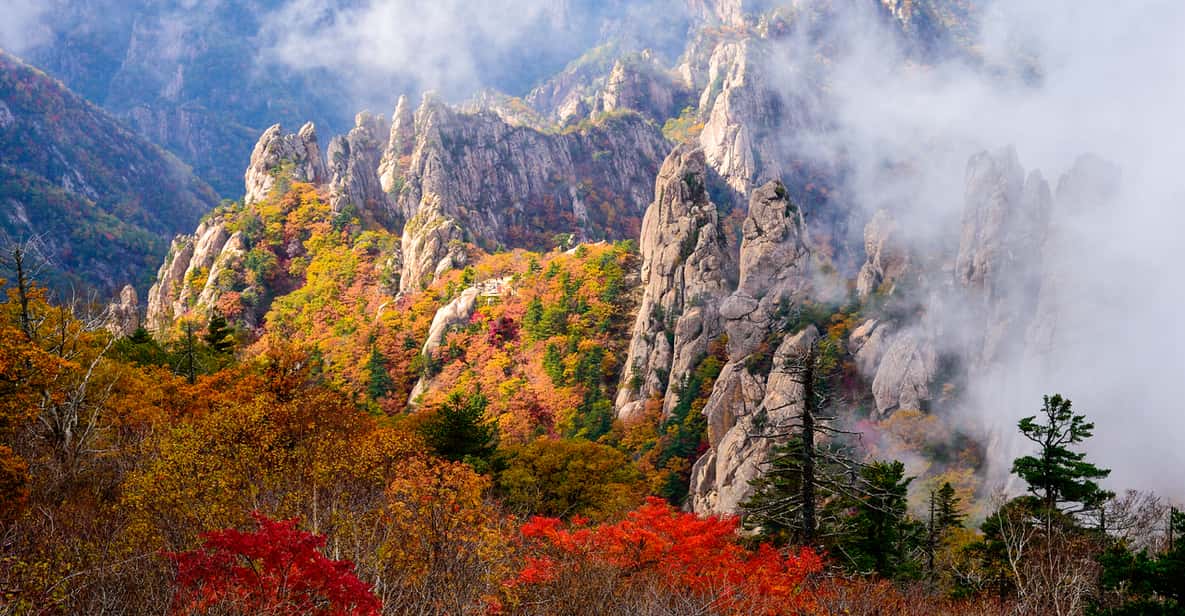 Seoul: Mt. Seoraksan National Park Autumn Foliage Day Tour - Why Seoraksan Feels Like a Reset From Seoul