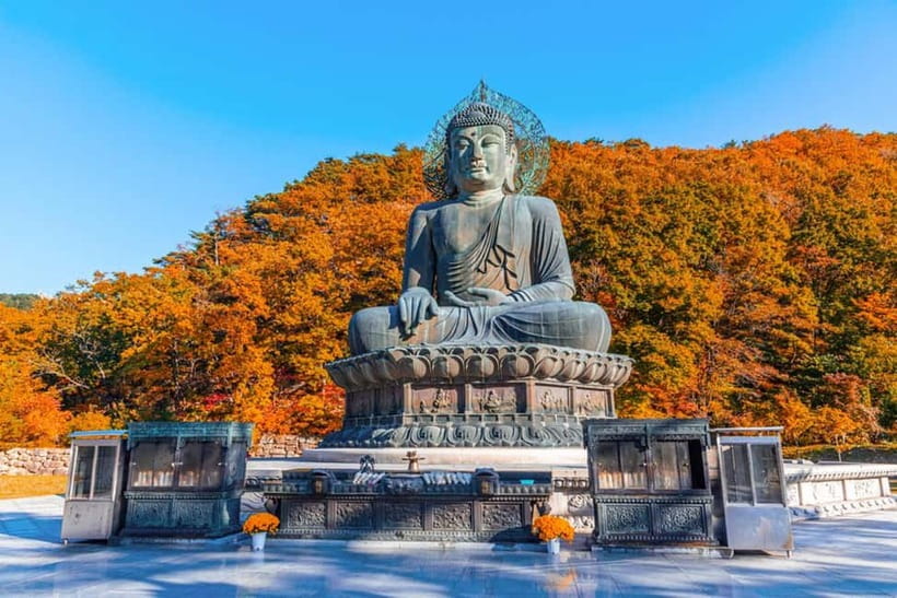 Seoul: Mt. Seoraksan National Park Autumn Foliage Day Tour - First Views at 10:00 AM: Fall Color Meets Granite Peaks