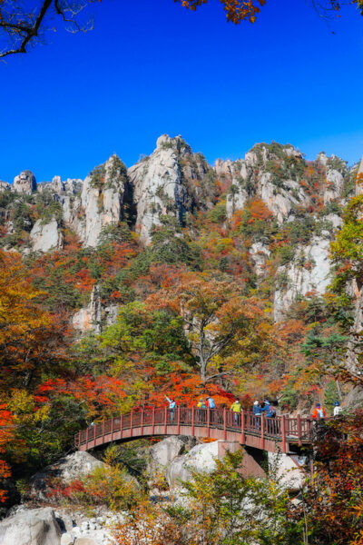 Seoul: Mt. Seoraksan National Park Autumn Foliage Day Tour - The Ride North: Timing, Comfort, and Why It Matters
