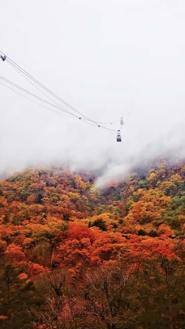 Seoul: Mt. Seoraksan National Park Autumn Foliage Day Tour - How Your Park Time Works: Trails, Temples, and Choosing Your Pace