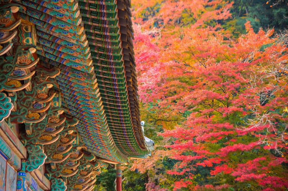 Seoul: Naejangsan National Park Autumn Foliage One Day Tour - Key highlights at a glance