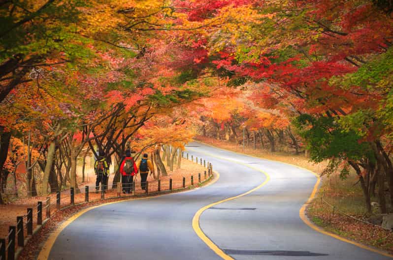 Seoul: Naejangsan National Park Autumn Foliage One Day Tour - How this one-day Naejangsan trip flows from Seoul