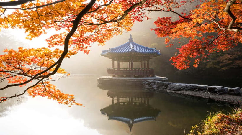 Seoul: Naejangsan National Park Autumn Foliage One Day Tour - What’s included in the $46 price (and what’s not)
