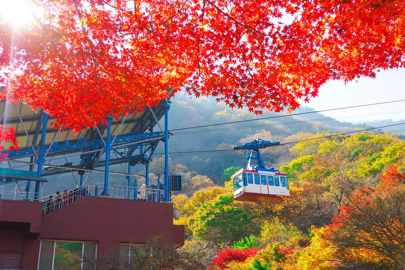 Seoul: Naejangsan National Park Autumn Foliage One Day Tour - Timing, weather, and comfort tips you shouldn’t skip
