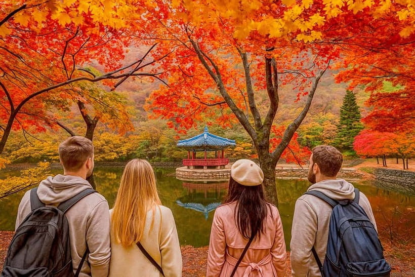 Seoul: Naejangsan National Park Autumn Foliage One Day Tour - Naejangsan National Park: where the fall colors meet walking paths