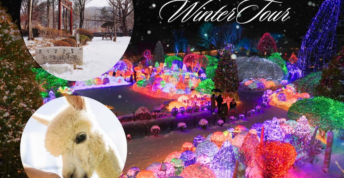 Seoul: Nami and K-Garden with Optional Alpaca Winter Tour - Key highlights you’ll actually care about