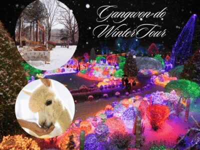 Seoul: Nami and K-Garden with Optional Alpaca Winter Tour - Eobi Valley’s frozen waterfall and why the timing matters