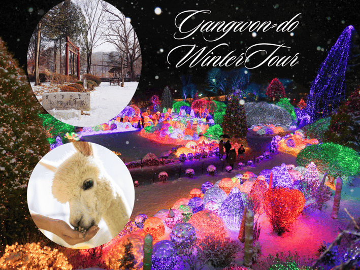 Seoul: Nami and K-Garden with Optional Alpaca Winter Tour - Eobi Valley’s frozen waterfall and why the timing matters